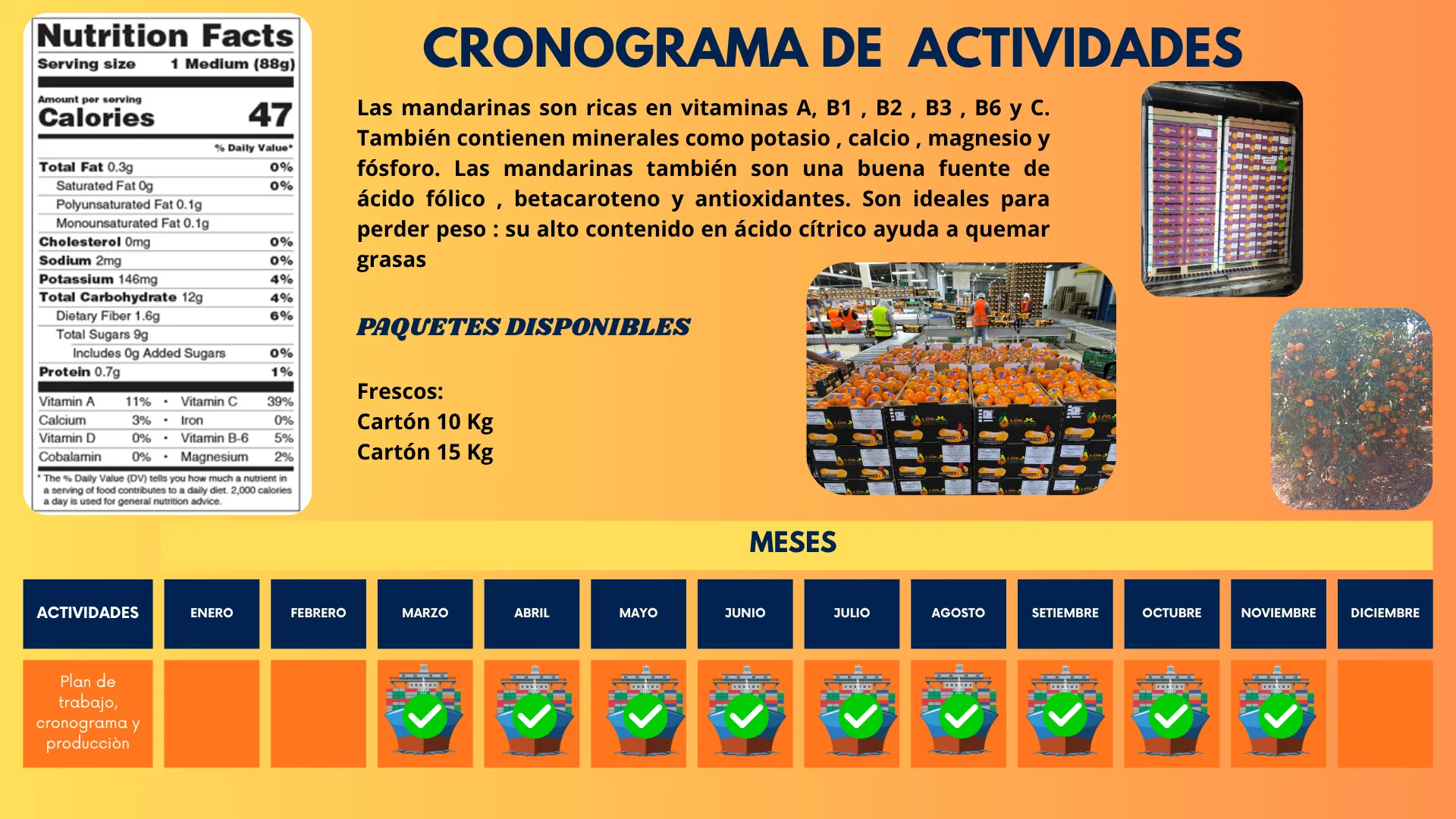 Cronograma de cosecha de los cítricos